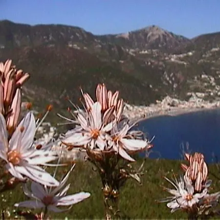 Casa Eolia _ Residenza Casa vacanze